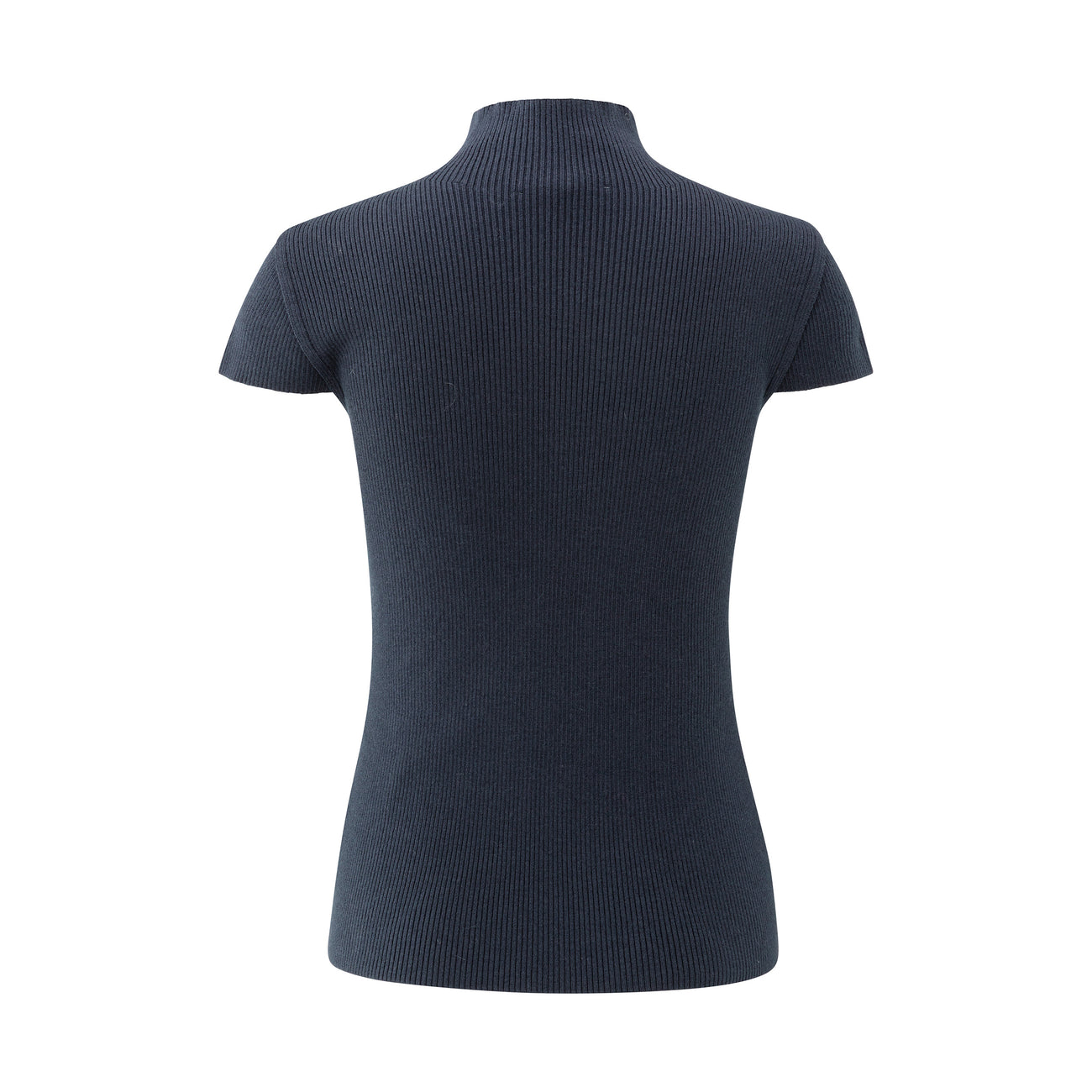 Ribbed Fitted Top with Mock Neck and Seam Detail