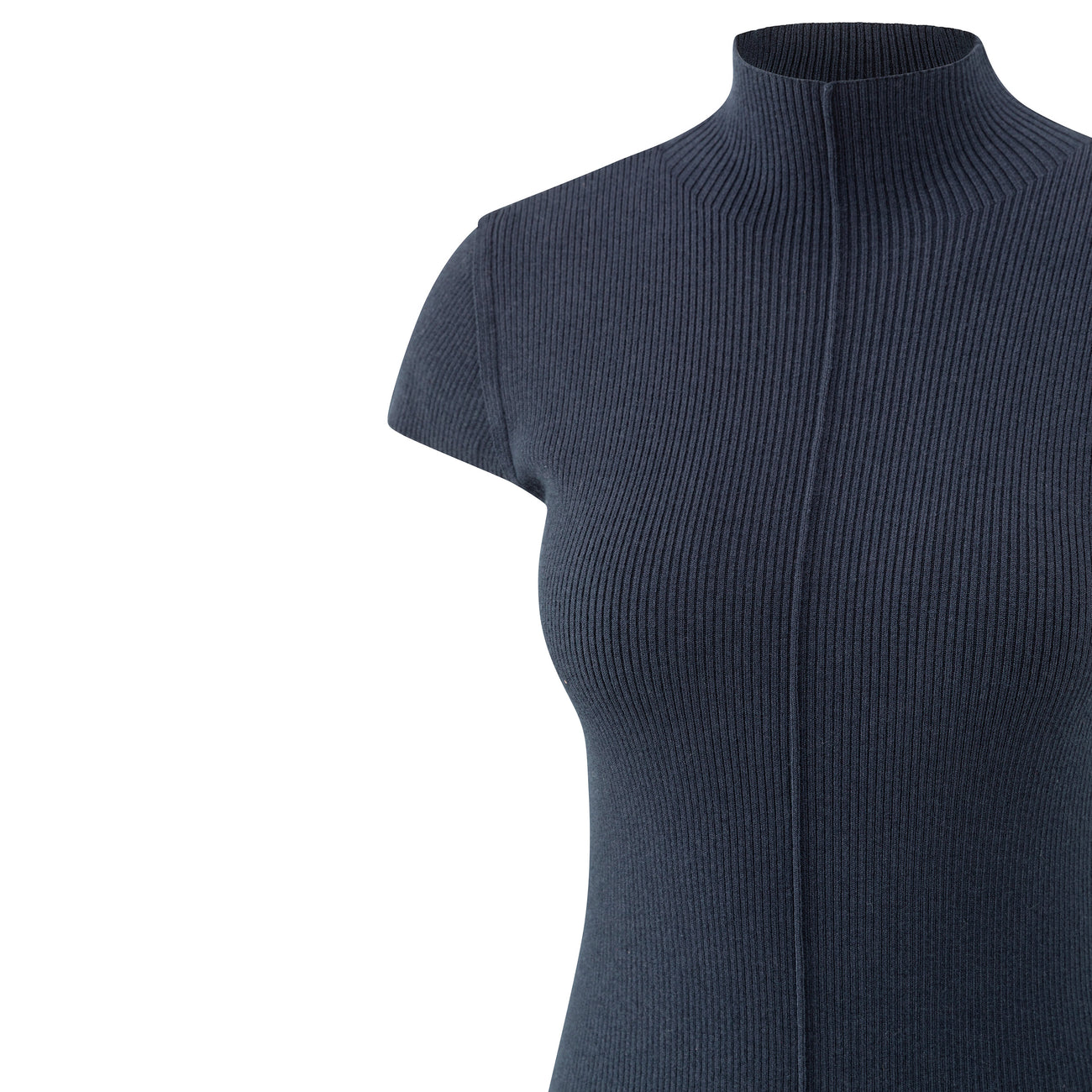 Ribbed Fitted Top with Mock Neck and Seam Detail