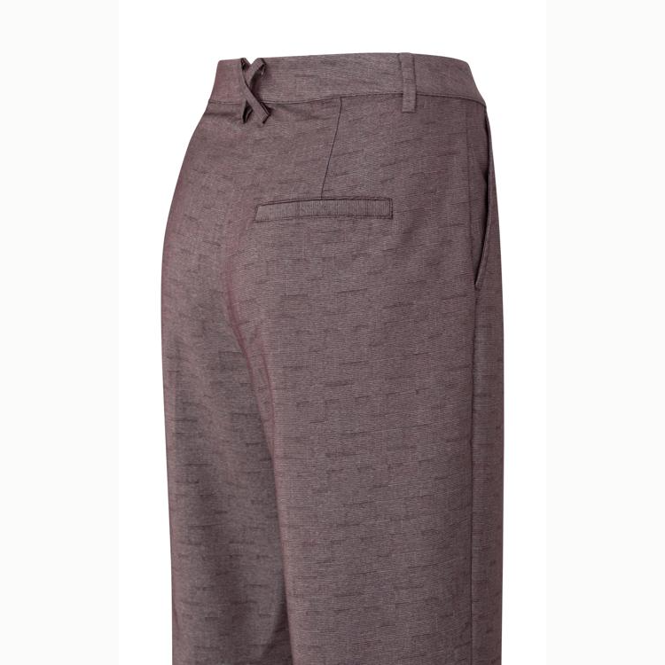 Shiny Woven Wide-Leg Trousers with Fold