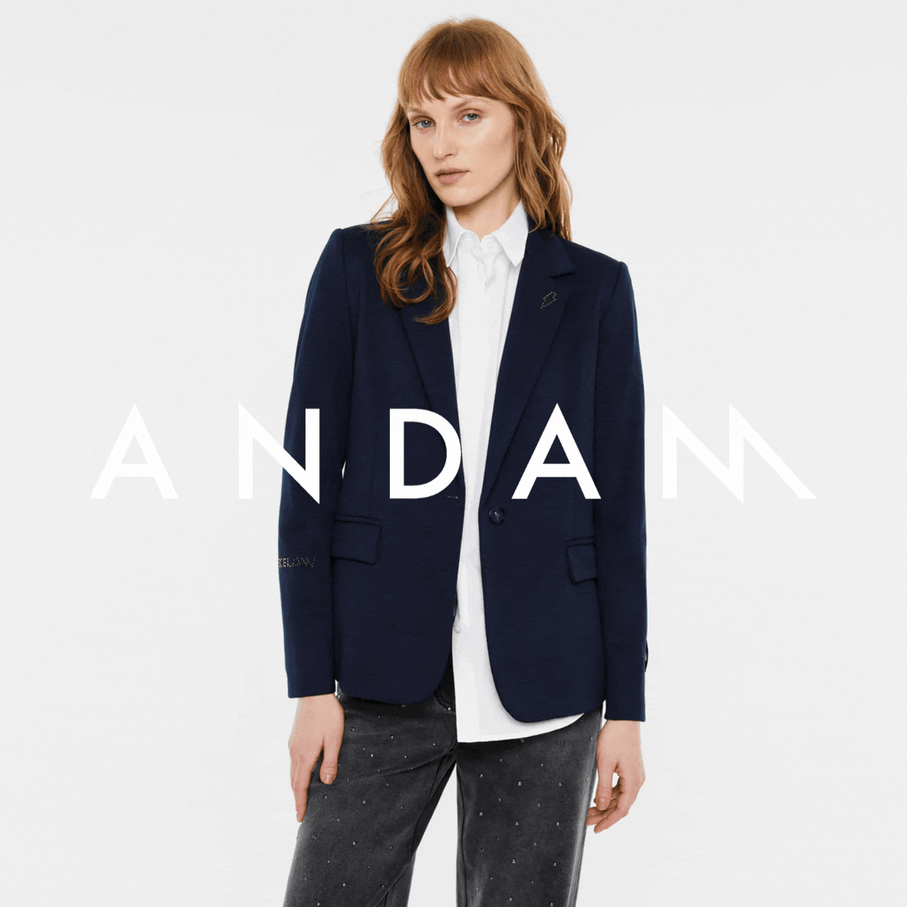 <strong>ANDAM</strong>