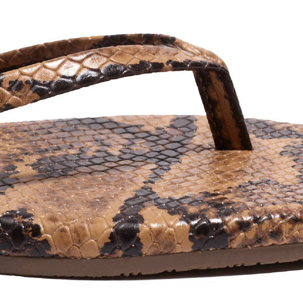Square Toe Exotics - Coco Snake
